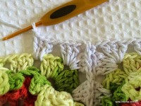 Tapete-2Bredondo-2Bbico-2Bduplo-2Bpasso-2Ba-2Bpasso-2B-2Bwww.croche.com-2B-36-