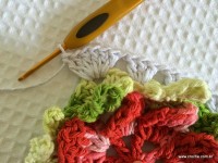 Tapete-2Bredondo-2Bbico-2Bduplo-2Bpasso-2Ba-2Bpasso-2B-2Bwww.croche.com-2B-42-