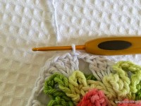 Tapete-2Bredondo-2Bbico-2Bduplo-2Bpasso-2Ba-2Bpasso-2B-2Bwww.croche.com-2B-50-