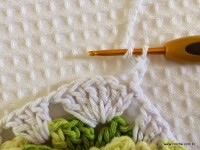 Tapete-2Bredondo-2Bbico-2Bduplo-2Bpasso-2Ba-2Bpasso-2B-2Bwww.croche.com-2B-52-