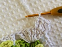 Tapete-2Bredondo-2Bbico-2Bduplo-2Bpasso-2Ba-2Bpasso-2B-2Bwww.croche.com-2B-54-