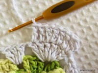 Tapete-2Bredondo-2Bbico-2Bduplo-2Bpasso-2Ba-2Bpasso-2B-2Bwww.croche.com-2B-56-