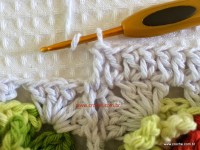 Tapete-2Bredondo-2Bbico-2Bduplo-2Bpasso-2Ba-2Bpasso-2B-2Bwww.croche.com-2B-69-