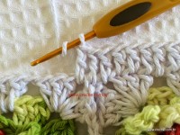 Tapete-2Bredondo-2Bbico-2Bduplo-2Bpasso-2Ba-2Bpasso-2B-2Bwww.croche.com-2B-70-