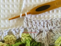 Tapete-2Bredondo-2Bbico-2Bduplo-2Bpasso-2Ba-2Bpasso-2B-2Bwww.croche.com-2B-71-