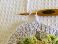 Tapete-2Bredondo-2Bbico-2Bduplo-2Bpasso-2Ba-2Bpasso-2B-2Bwww.croche.com-2B-77-