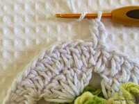 Tapete-2Bredondo-2Bbico-2Bduplo-2Bpasso-2Ba-2Bpasso-2B-2Bwww.croche.com-2B-78-