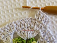 Tapete-2Bredondo-2Bbico-2Bduplo-2Bpasso-2Ba-2Bpasso-2B-2Bwww.croche.com-2B-79-