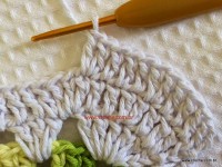 Tapete-2Bredondo-2Bbico-2Bduplo-2Bpasso-2Ba-2Bpasso-2B-2Bwww.croche.com-2B-81-