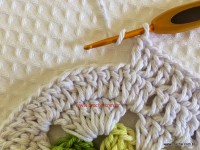 Tapete-2Bredondo-2Bbico-2Bduplo-2Bpasso-2Ba-2Bpasso-2B-2Bwww.croche.com-2B-83-