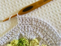 Tapete-2Bredondo-2Bbico-2Bduplo-2Bpasso-2Ba-2Bpasso-2B-2Bwww.croche.com-2B-92-