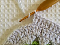 Tapete-2Bredondo-2Bbico-2Bduplo-2Bpasso-2Ba-2Bpasso-2B-2Bwww.croche.com-2B-94-