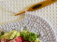 Tapete-2Bredondo-2Bbico-2Bduplo-2Bpasso-2Ba-2Bpasso-2B-2Bwww.croche.com-2B-95-