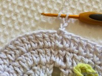 Tapete-2Bredondo-2Bbico-2Bduplo-2Bpasso-2Ba-2Bpasso-2B-2Bwww.croche.com-2B-99-