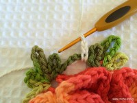 Tapete camélia redondo - PAP - www.croche.com (12)