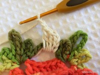 Tapete camélia redondo - PAP - www.croche.com (13)