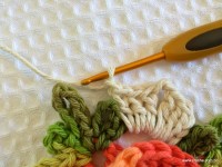 Tapete camélia redondo - PAP - www.croche.com (14)