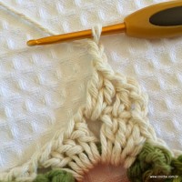 Tapete camélia redondo - PAP - www.croche.com (23)