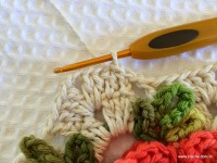 Tapete camélia redondo - PAP - www.croche.com (33)