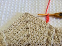 Tapete camélia redondo - PAP - www.croche.com (49)