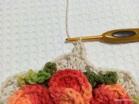 Tapete camélia redondo - PAP - www.croche.com (68)