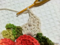 Tapete camélia redondo - PAP - www.croche.com (69)