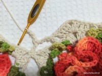 Tapete camélia redondo - PAP - www.croche.com (73)