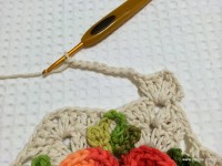 Tapete camélia redondo - PAP - www.croche.com (79)