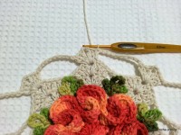 Tapete camélia redondo - PAP - www.croche.com (82)