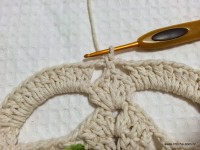 Tapete camélia redondo - PAP - www.croche.com (89)