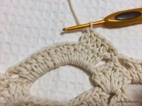 Tapete camélia redondo - PAP - www.croche.com (91)