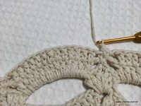 Tapete camélia redondo - PAP - www.croche.com (96)