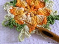 Tapete estrela parte 1 - www.croche.com (10)