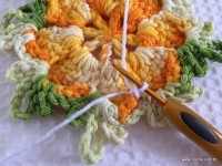 Tapete estrela parte 1 - www.croche.com (11)