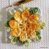 Tapete estrela parte 1 - www.croche.com (24)