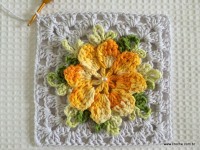 Tapete estrela parte 1 - www.croche.com (28)