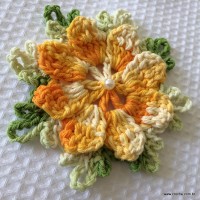 Tapete estrela parte 1 - www.croche.com (3)