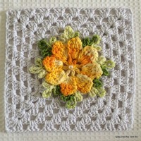 Tapete estrela parte 1 - www.croche.com (30)