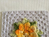 Tapete estrela parte 1 - www.croche.com (32)