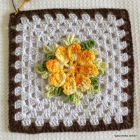 Tapete estrela parte 1 - www.croche.com (36)