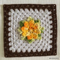 Tapete estrela parte 1 - www.croche.com (37)