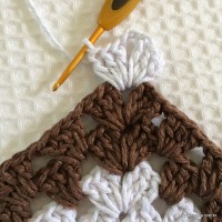 Tapete estrela parte 1 - www.croche.com (41)