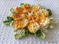 Tapete estrela parte 1 - www.croche.com (8)