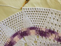 Tapete oval passo a passo - www.croche.com (162)