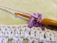 Tapete oval passo a passo - www.croche.com (174)