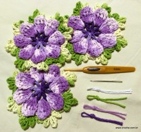 Tapete oval passo a passo - www.croche.com (2)