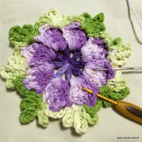 Tapete oval passo a passo - www.croche.com (4)