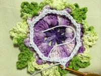 Tapete oval passo a passo - www.croche.com (8)