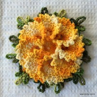 Tapete redondo passo a passo - www.croche.com (281)