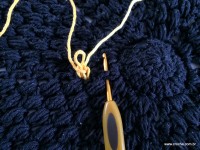 Tapete redondo passo a passo - www.croche.com (289)